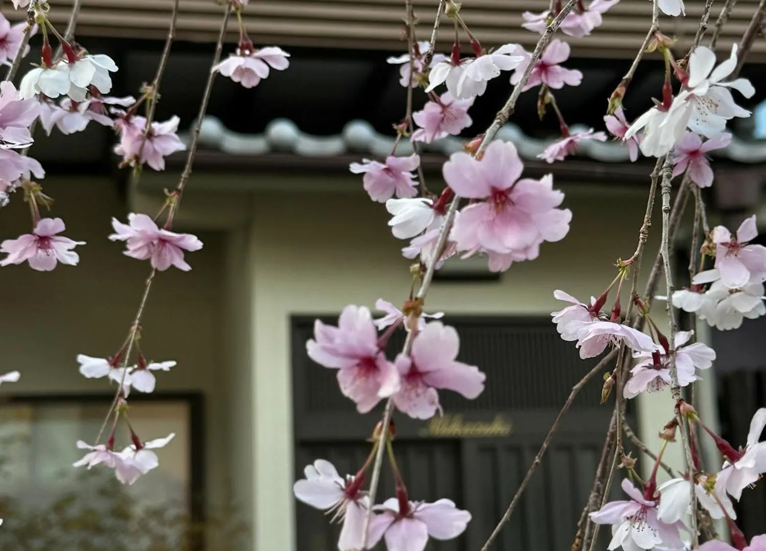 京都 三日月 Mikazuki 0*, Kyoto Japan
